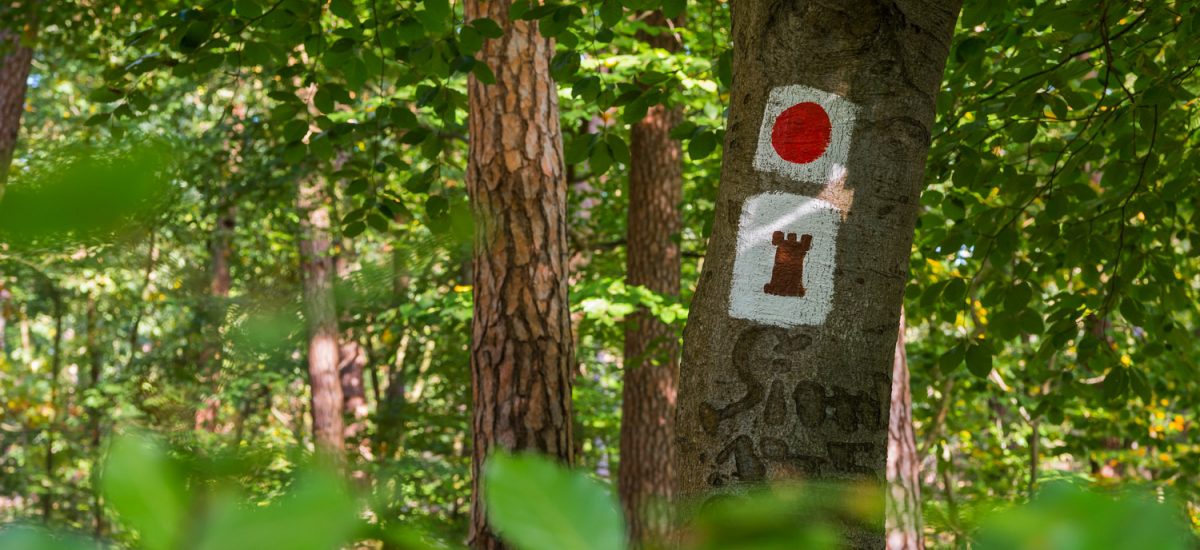 Wanderwegmarkierung Turmweg