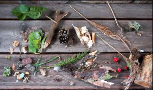 Blätter und Früchte des Herbstes auf einer Holzbank