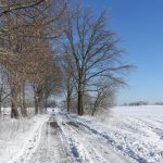 Allee in verschneiter Landschaft