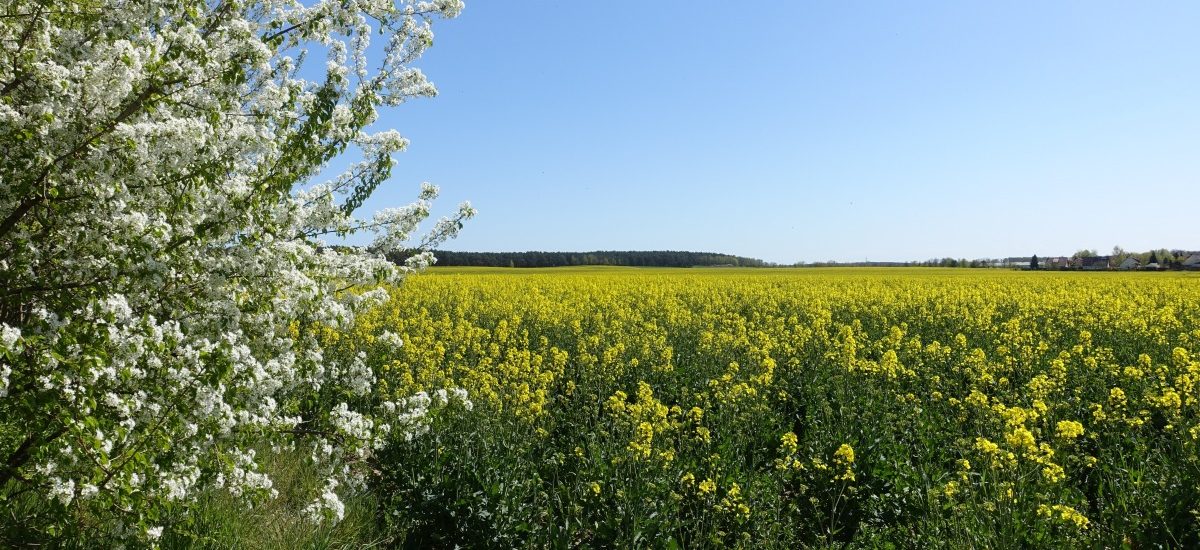 Wander-Touren für den Frühling