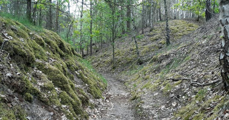 Themenwanderung: Glauer Berge – mit Hochgenuss und Tiefgang