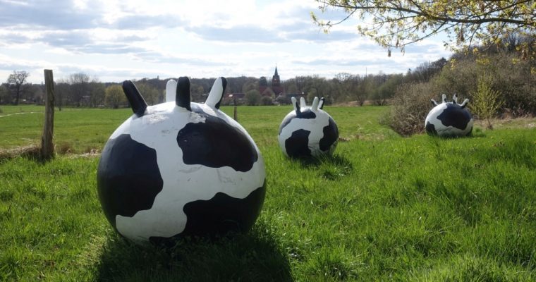 Rundwanderung auf der „Westroute“ des Kunstwanderwegs