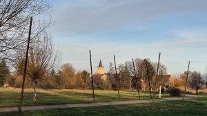 Im Hintergrund Kirchturm