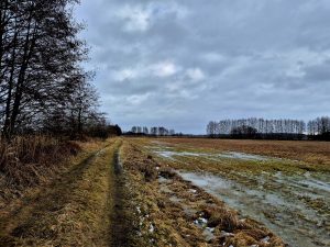 Wiesenwinterlandschaft mit Weg ohne Schnee
